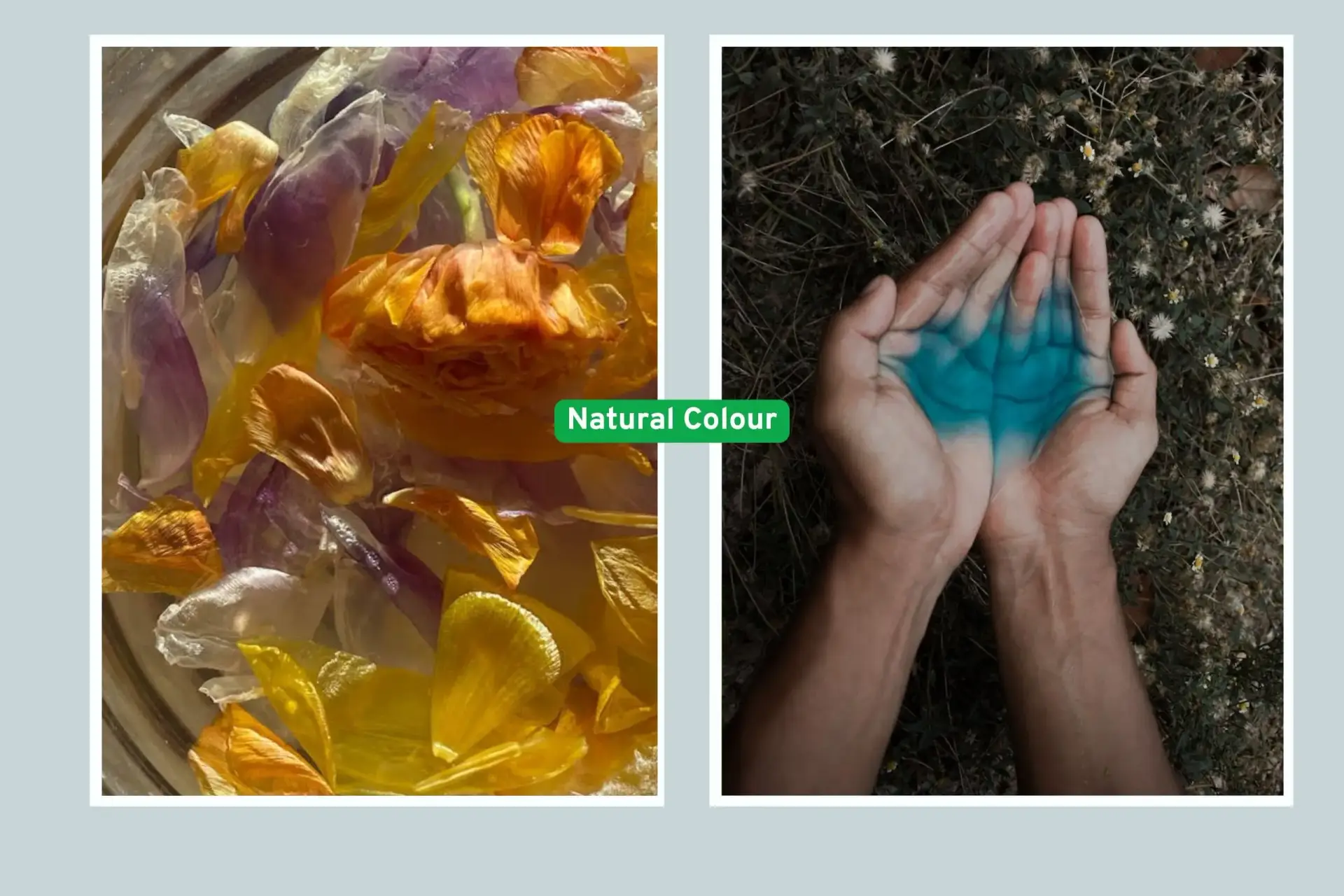 Home 24 a collage of natural colour