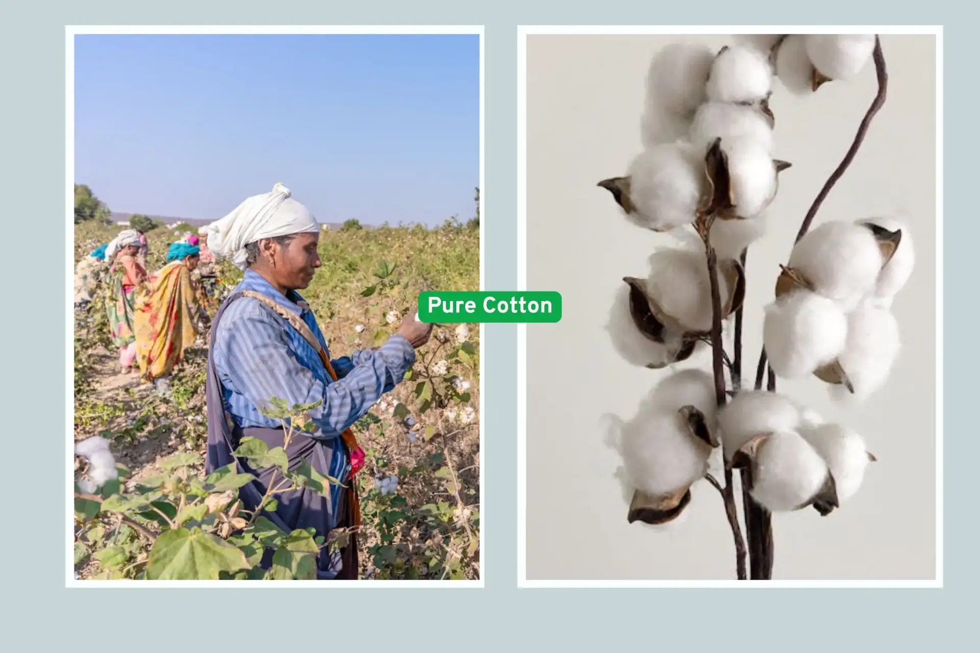 Home 23 a collage of cotton naturals