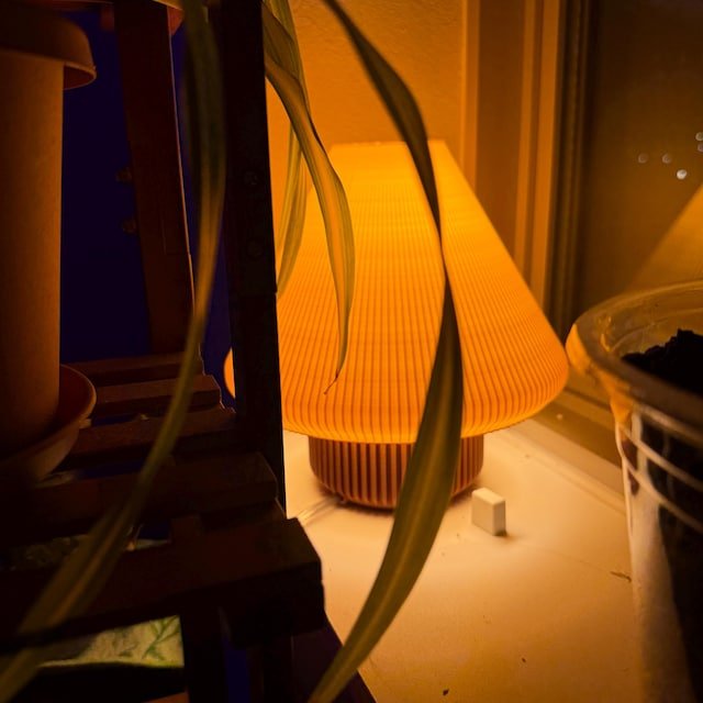 Image #2 from Emilyr Davis