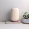 Minimalist 3D Printed Table Lamp Modern Bedside