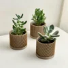 Set of 3 Modern Plant Pots – Minimalist Indoor Planters
