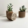 Set of 3 Modern Plant Pots – Minimalist Indoor Planters