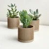Modern Succulent Planters for Stylish Home Décor