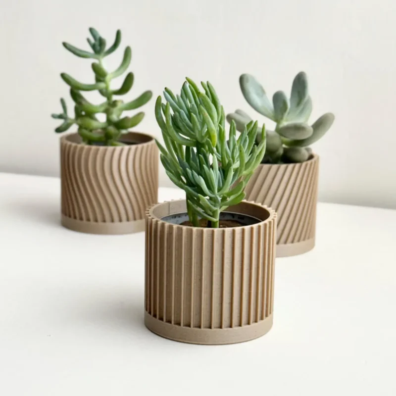 Modern Succulent Planters for Stylish Home Décor